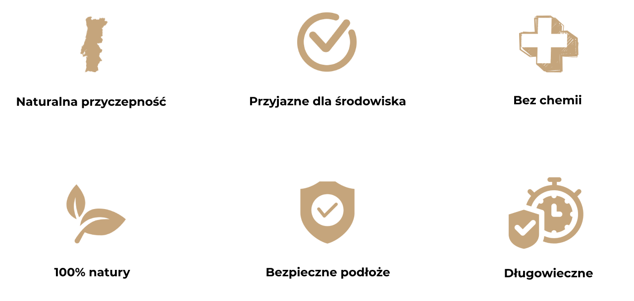 Obraz przedstawia sześć ikon opisujących zalety naturalnej kory do terrarium.
